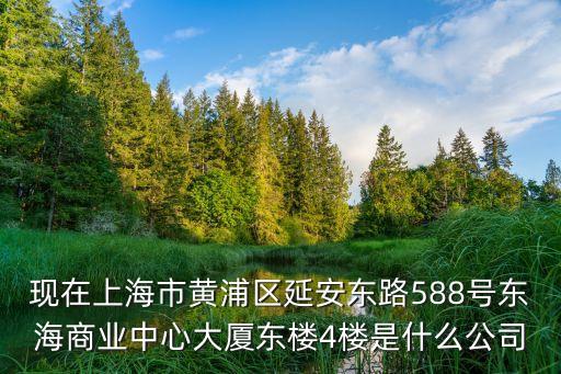 現在上海市黃浦區延安東路588號東海商業中心大廈東樓4樓是什么公司