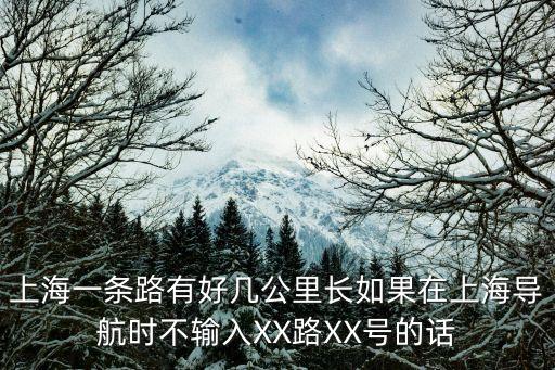 上海一條路有好幾公里長如果在上海導航時不輸入XX路XX號的話