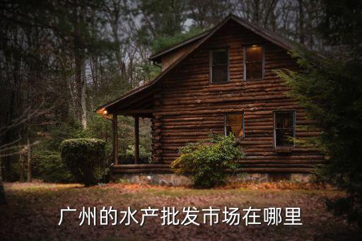 廣州哪里批發河鮮，廣州的水產批發市場在哪里