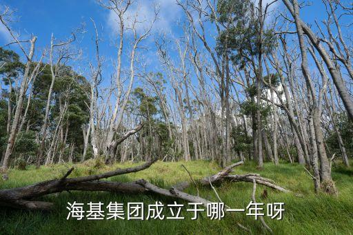 海基集團成立于哪一年呀