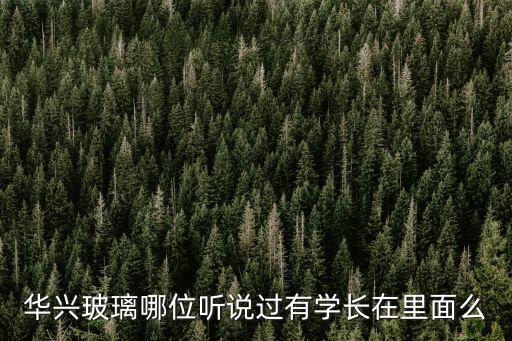 深圳華興玻璃廠，華興玻璃哪位聽說過有學長在里面么