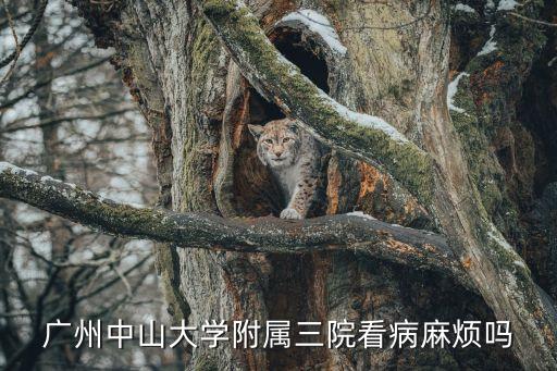 廣州中山大學(xué)附屬三院看病麻煩嗎