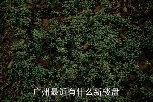 廣州最近有什么新樓盤
