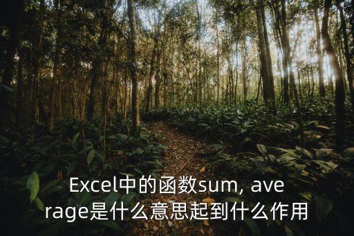 Excel中的函數sum, average是什么意思起到什么作用