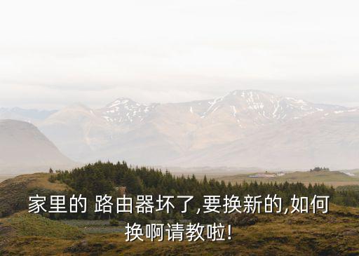 家里的 路由器壞了,要換新的,如何換啊請教啦!