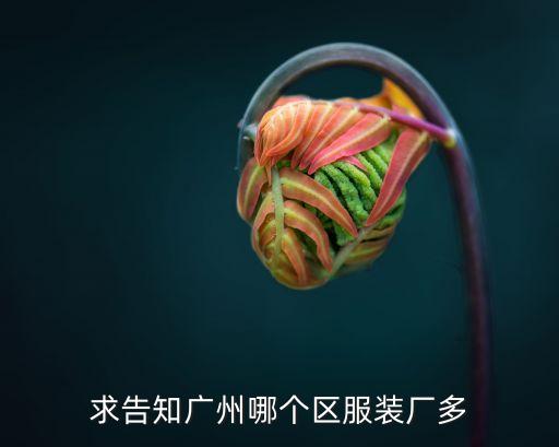 廣州哪個區做女職業裝的多，我想請教一下在廣州那個地方的服裝廠多呢女裝的急謝謝
