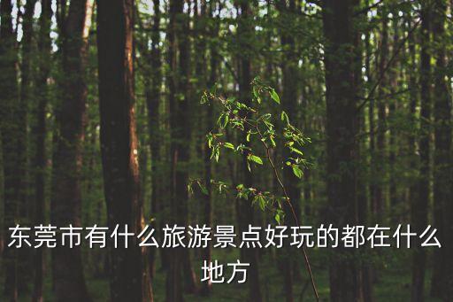 東莞市有什么旅游景點(diǎn)好玩的都在什么地方