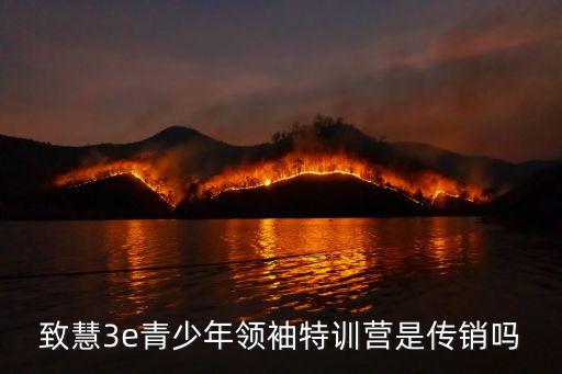 深圳少年領袖特訓營，有參加過深圳高級英才快演領袖訓練營的嗎效果怎么樣