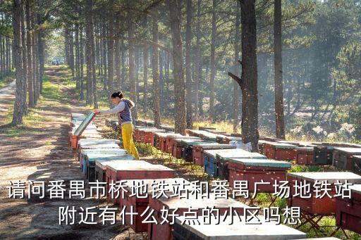 請問番禺市橋地鐵站和番禺廣場地鐵站附近有什么好點的小區嗎想