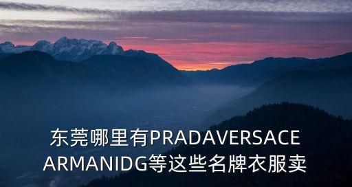東莞阿麗莎服飾圖，東莞哪里有PRADAVERSACEARMANIDG等這些名牌衣服賣(mài)