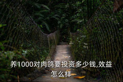 鴿子養殖大棚,養鴿子注意事項有哪些?