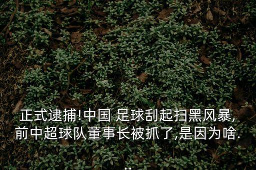 正式逮捕!中國 足球刮起掃黑風(fēng)暴,前中超球隊(duì)董事長被抓了,是因?yàn)樯?..