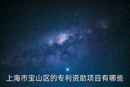 上海市寶山區的專利資助項目有哪些