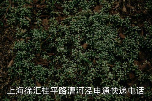 上海市徐匯申通快遞網點，上海徐匯桂平路漕河涇申通快遞電話