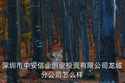 中安信業在深圳有幾家分店，中安信業貸款期限是多久