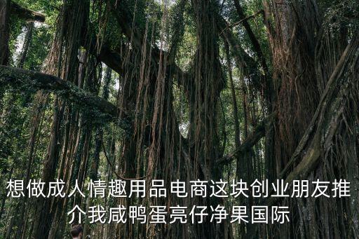想做成人情趣用品電商這塊創業朋友推介我咸鴨蛋亮仔凈果國際