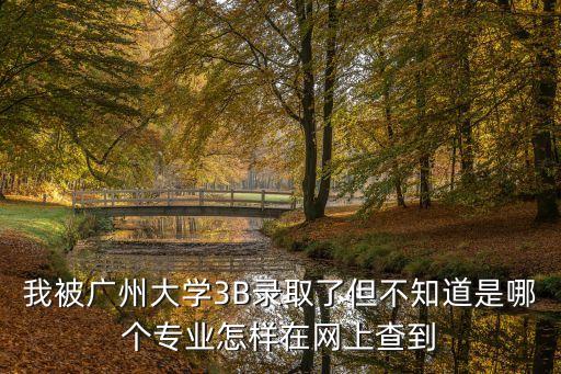 廣州大學(xué)官網(wǎng)錄取查詢，我被廣州大學(xué)3B錄取了但不知道是哪個專業(yè)怎樣在網(wǎng)上查到