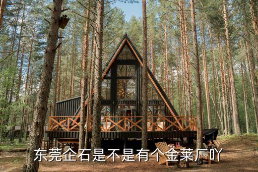 東莞市企石沖床，東莞企石是不是有個金萊廠吖