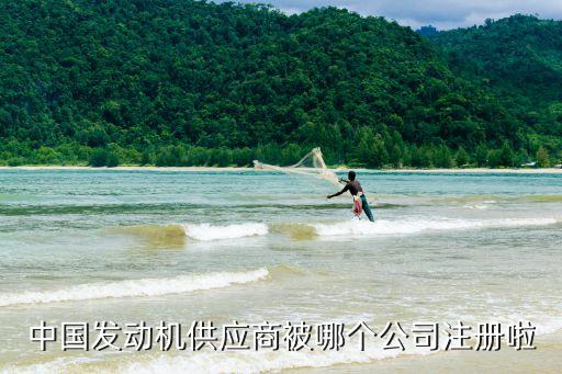 中國發動機供應商被哪個公司注冊啦