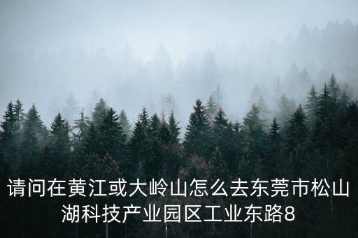 請(qǐng)問在黃江或大嶺山怎么去東莞市松山湖科技產(chǎn)業(yè)園區(qū)工業(yè)東路8
