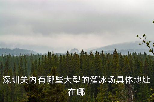 深圳關內有哪些大型的溜冰場具體地址在哪