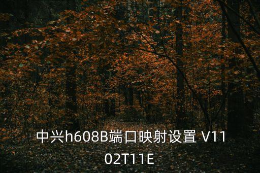 中興h608B端口映射設(shè)置 V1102T11E