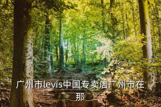 吉利帝豪ev廣州經銷商，廣州市levis中國專賣店廣州市在那