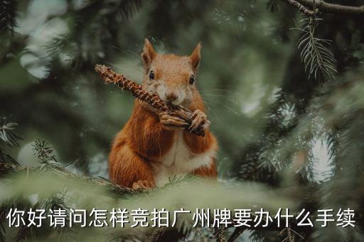 你好請(qǐng)問怎樣競(jìng)拍廣州牌要辦什么手續(xù)