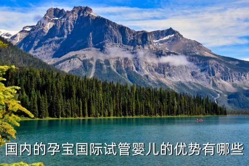 國內的孕寶國際試管嬰兒的優勢有哪些
