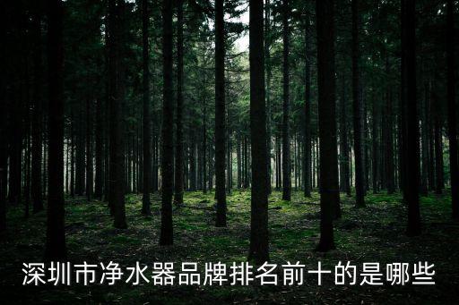 深圳市凈水器品牌排名前十的是哪些