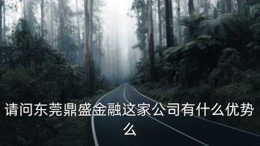 請問東莞鼎盛金融這家公司有什么優勢么