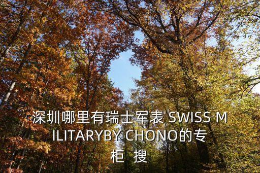 深圳哪里有瑞士軍表 SWISS MILITARYBY CHONO的專柜  搜