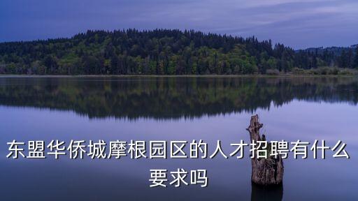 東盟華僑城摩根園區(qū)的人才招聘有什么要求嗎