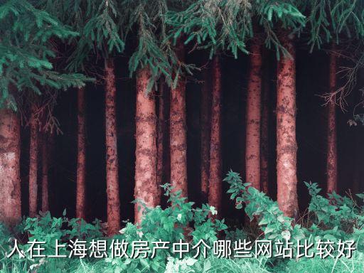 上海市房產中介網站，人在上海想做房產中介哪些網站比較好