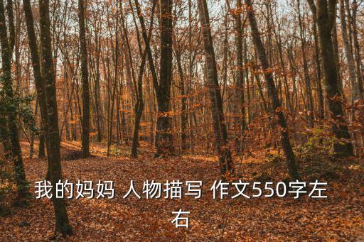 人物作文500字,我最喜歡的名著人物作文500字
