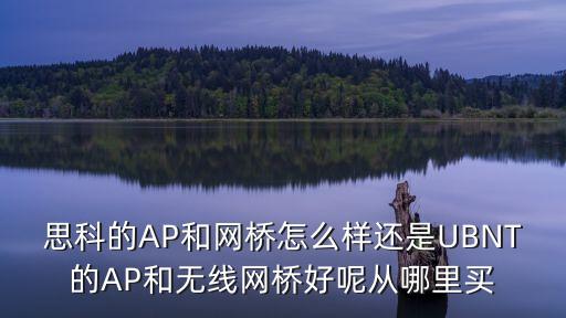 廣州華宇任濤老婆，老公任濤老婆王小利孩子預(yù)產(chǎn)期2009年8月22號(hào)請朋友們幫我取一個(gè)男