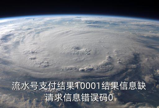 流水號支付結果10001結果信息缺請求信息錯誤碼0