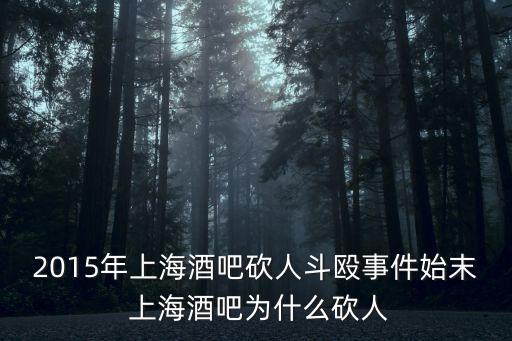 2015年上海酒吧砍人斗毆事件始末 上海酒吧為什么砍人