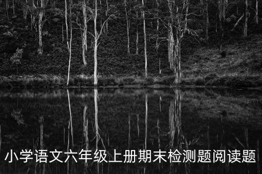 上海市六年級上冊語文期末考題，小學語文六年級上冊期末檢測題閱讀題