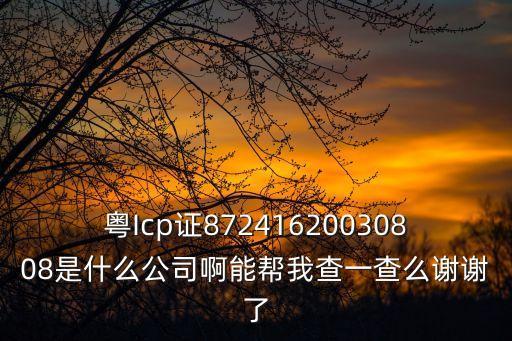 深圳市傳媒有限公司粵icp，粵Icp證87241620030808是什么公司啊能幫我查一查么謝謝了