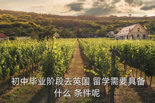  初中畢業階段去英國 留學需要具備什么 條件呢