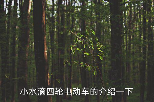 小水滴四輪電動車的介紹一下
