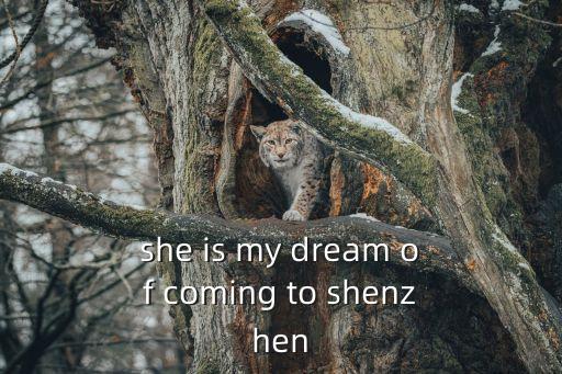 she is my dream of coming to shenzhen