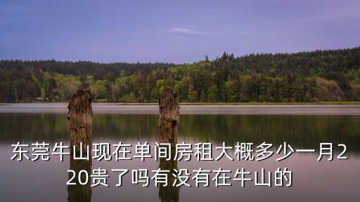 東莞牛山現(xiàn)在單間房租大概多少一月220貴了嗎有沒(méi)有在牛山的