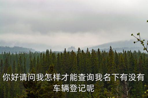你好請問我怎樣才能查詢我名下有沒有車輛登記呢