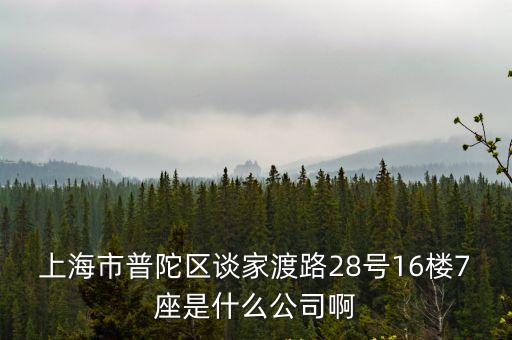 上海市顯隆機械，上海市普陀區談家渡路28號16樓7座是什么公司啊