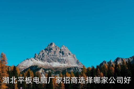 湖北平板電腦廠家招商選擇哪家公司好