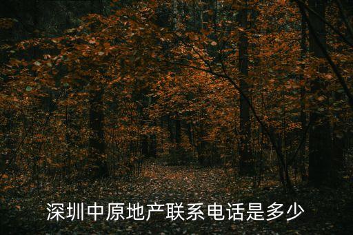 深圳中連地產(chǎn)的位置，中聯(lián)地產(chǎn)在深圳總共有多少個分店