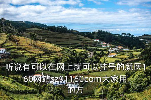 聽說有可以在網(wǎng)上就可以掛號的就醫(yī)160網(wǎng)站sz91160com大家用的方