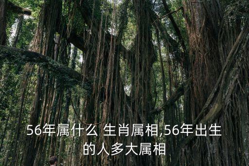 1956年屬什么生肖,張國榮1956年屬什么生肖